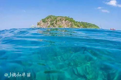 山东电动载人汽车出口翻番式增长