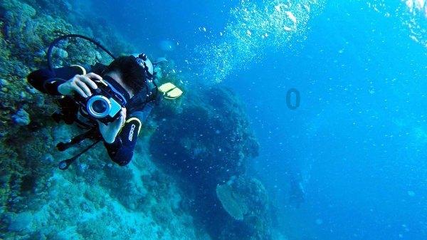 尼日利亚是一个多民族、多文化且宗教多元的国家